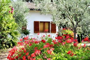 Charming House in Lacona + Garden